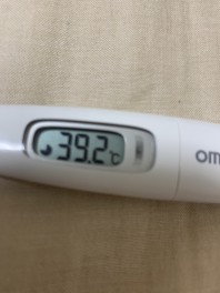 負け・・・　ました。